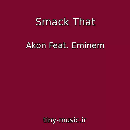 کاور آهنگ Smack That از Akon Feat. Eminem