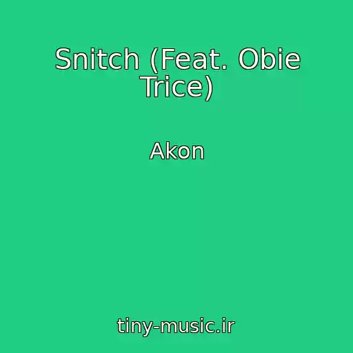 کاور آهنگ Snitch (Feat. Obie Trice) از Akon