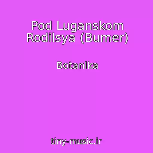 کاور آهنگ Pod Luganskom Rodilsya (Bumer) از Botanika