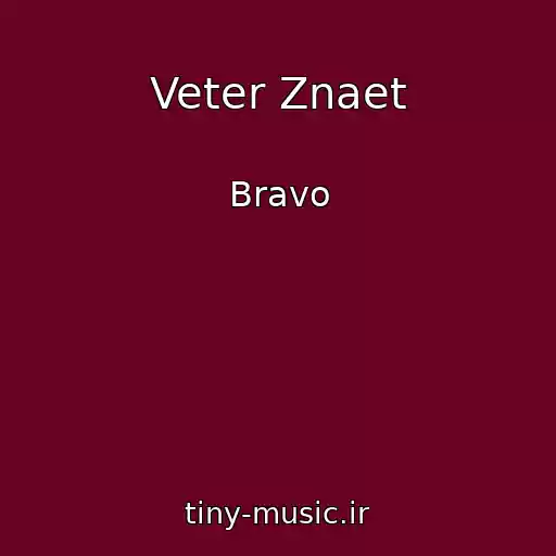 کاور آهنگ Veter Znaet از Bravo