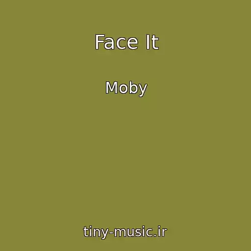 کاور آهنگ Face It از Moby