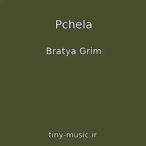 کاور آهنگ Pchela از Bratya Grim