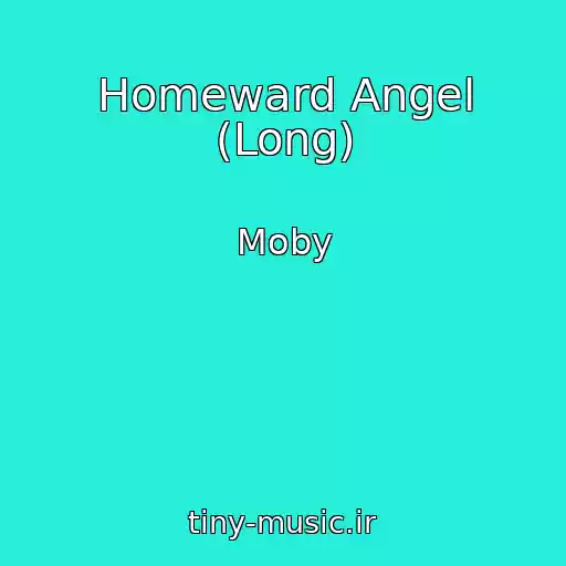 کاور آهنگ Homeward Angel (Long) از Moby