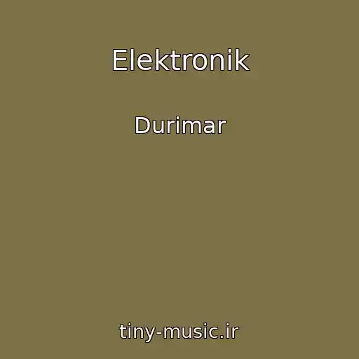 کاور آهنگ Elektronik از Durimar