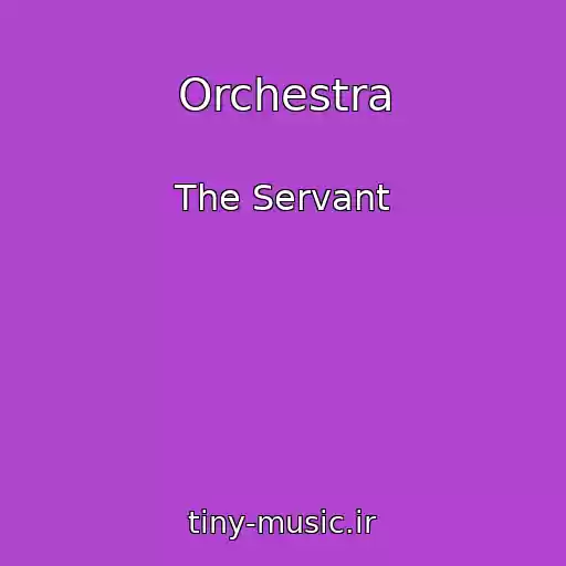 کاور آهنگ Orchestra از The Servant