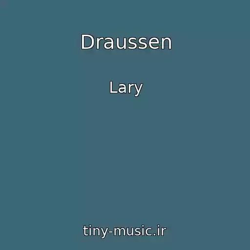 کاور آهنگ Draussen از Lary