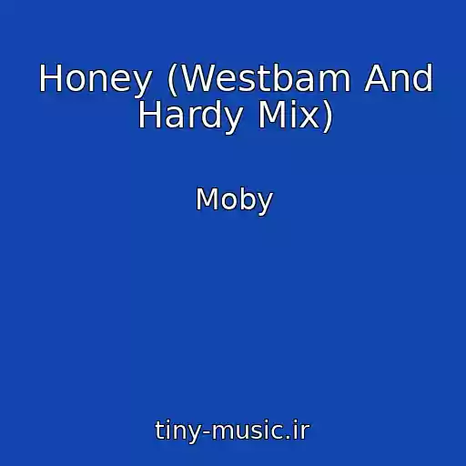 کاور آهنگ Honey (Westbam And Hardy Mix) از Moby