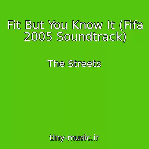 کاور آهنگ Fit But You Know It (Fifa 2005 Soundtrack) از The Streets