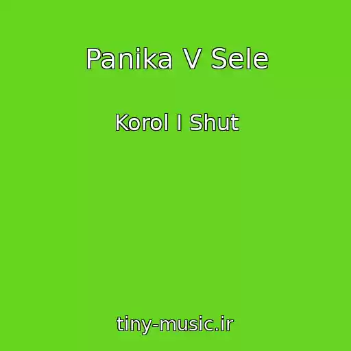 کاور آهنگ Panika V Sele از Korol I Shut