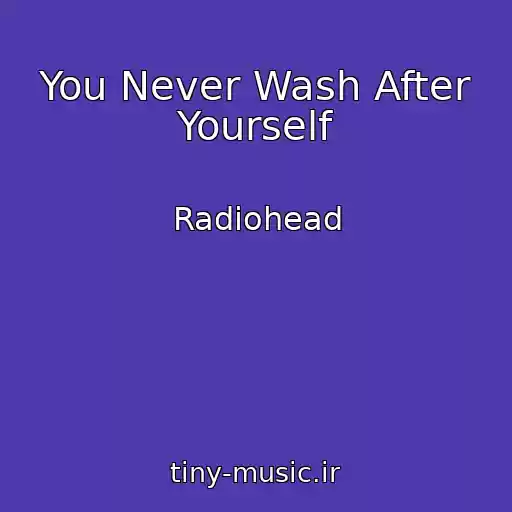 کاور آهنگ You Never Wash After Yourself از Radiohead