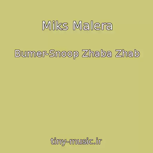کاور آهنگ Miks Malera از Bumer-Snoop Zhaba Zhab