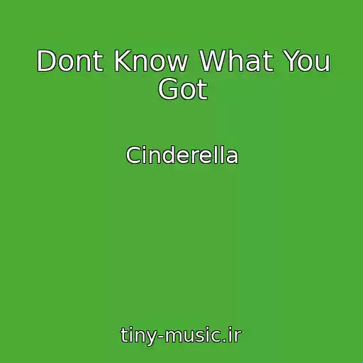 کاور آهنگ Dont Know What You Got از Cinderella