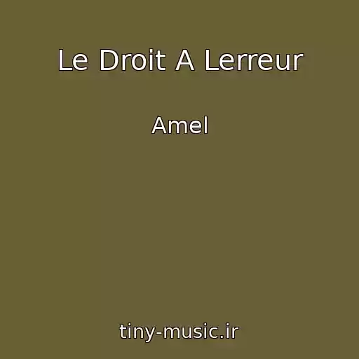 کاور آهنگ Le Droit A Lerreur از Amel