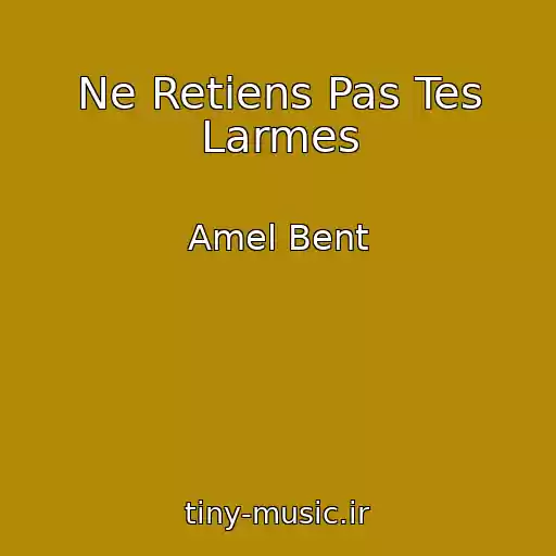 کاور آهنگ Ne Retiens Pas Tes Larmes از Amel Bent