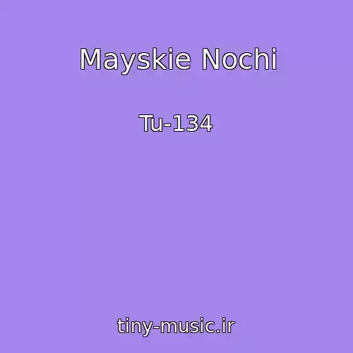کاور آهنگ Mayskie Nochi از Tu-134