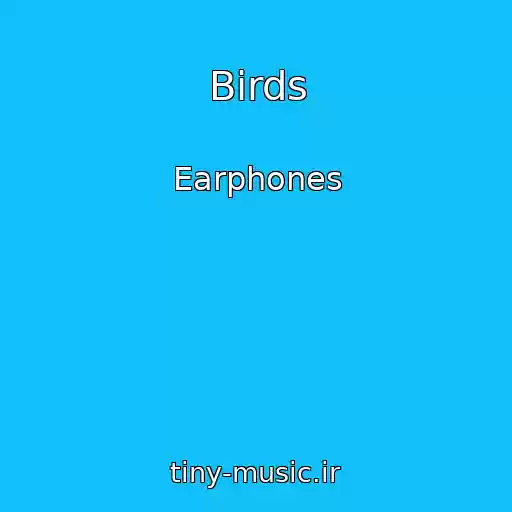 کاور آهنگ Birds از Earphones