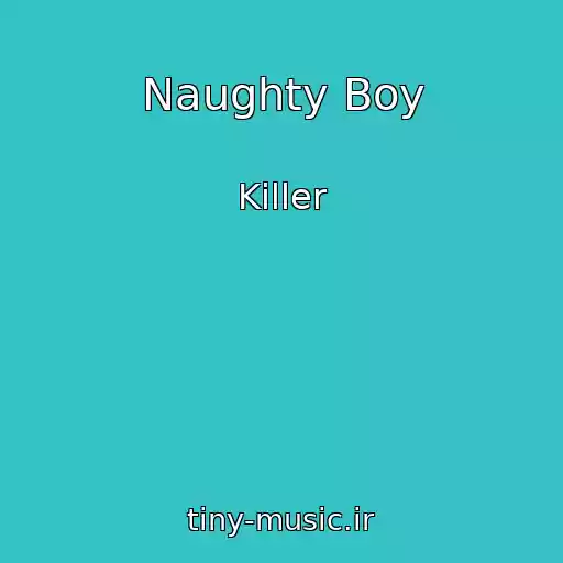 کاور آهنگ Naughty Boy از Killer