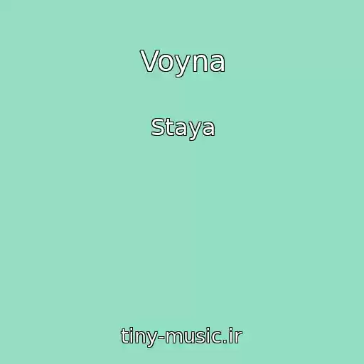 کاور آهنگ Voyna از Staya