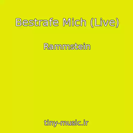کاور آهنگ Bestrafe Mich (Live) از Rammstein