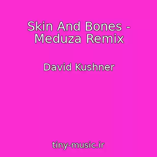 کاور آهنگ Skin And Bones - Meduza Remix از David Kushner