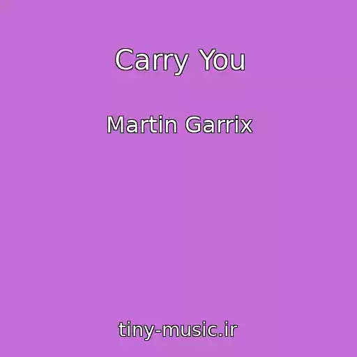 کاور آهنگ Carry You از Martin Garrix