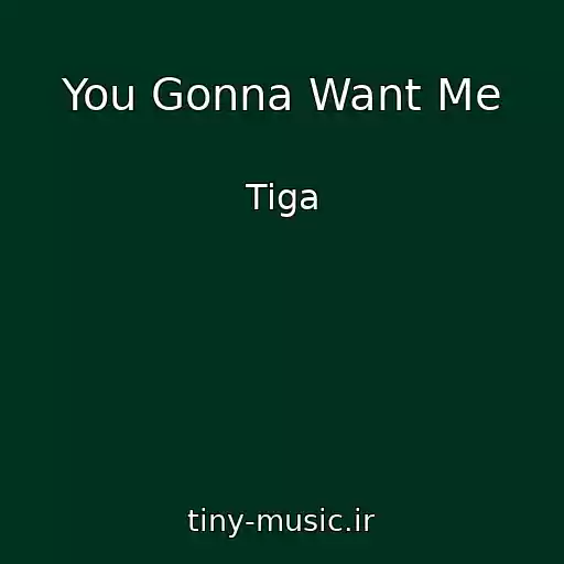 کاور آهنگ You Gonna Want Me از Tiga