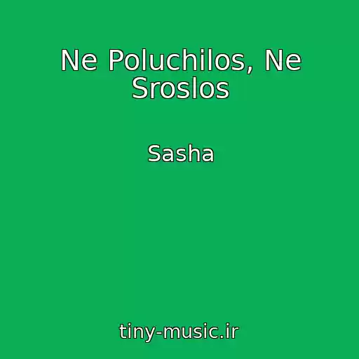 کاور آهنگ Ne Poluchilos, Ne Sroslos از Sasha