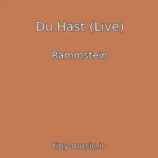 کاور آهنگ Du Hast (Live) از Rammstein
