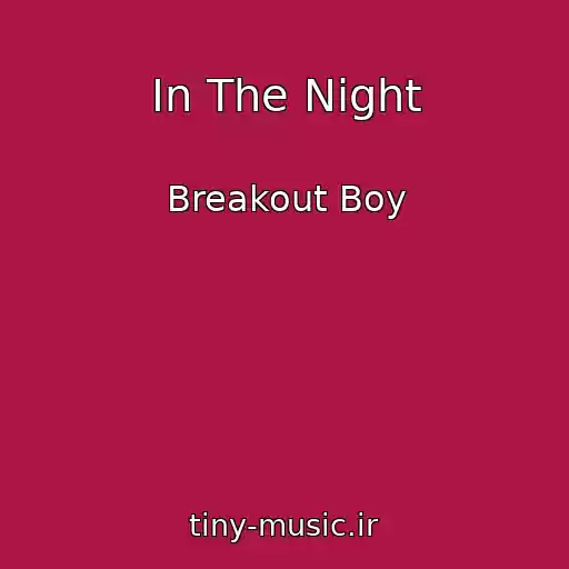 کاور آهنگ In The Night از Breakout Boy
