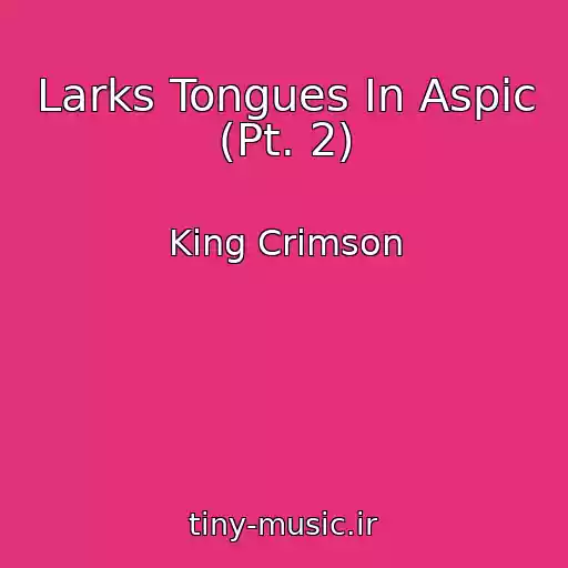 کاور آهنگ Larks Tongues In Aspic (Pt. 2) از King Crimson
