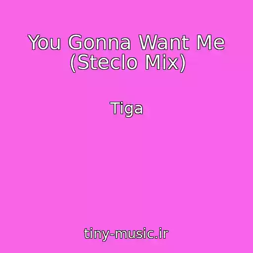 کاور آهنگ You Gonna Want Me (Steclo Mix) از Tiga