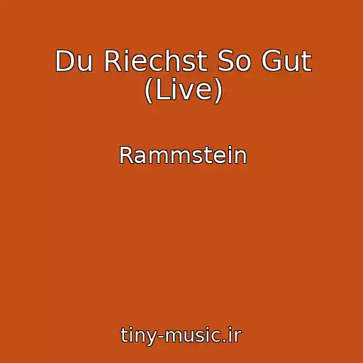 کاور آهنگ Du Riechst So Gut (Live) از Rammstein