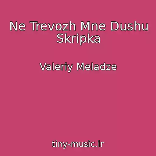 کاور آهنگ Ne Trevozh Mne Dushu Skripka از Valeriy Meladze