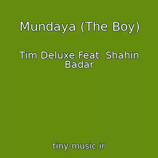 کاور آهنگ Mundaya (The Boy) از Tim Deluxe Feat. Shahin Badar