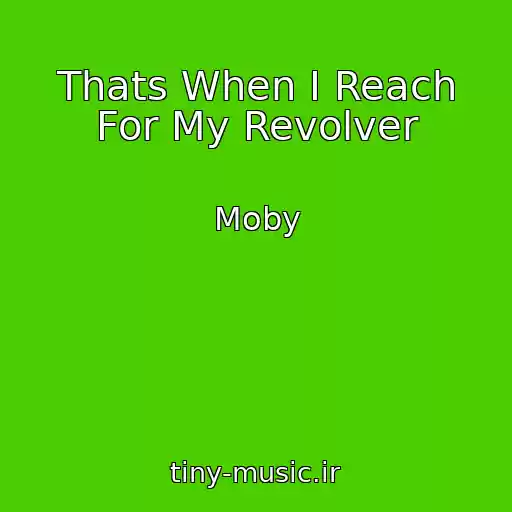 کاور آهنگ Thats When I Reach For My Revolver از Moby