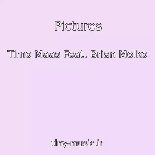 کاور آهنگ Pictures از Timo Maas Feat. Brian Molko
