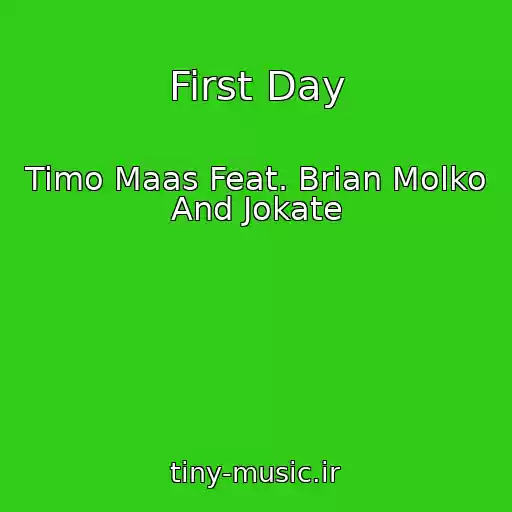 کاور آهنگ First Day از Timo Maas Feat. Brian Molko And Jokate