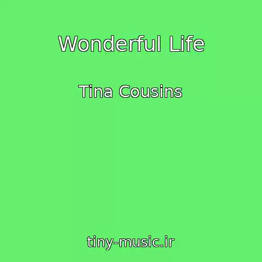 کاور آهنگ Wonderful Life از Tina Cousins