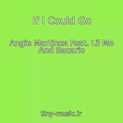 کاور آهنگ If I Could Go از Angie Martinez Feat. Lil Mo And Sacario