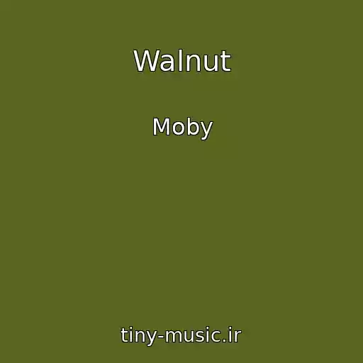 کاور آهنگ Walnut از Moby