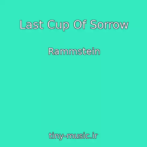 کاور آهنگ Last Cup Of Sorrow از Rammstein