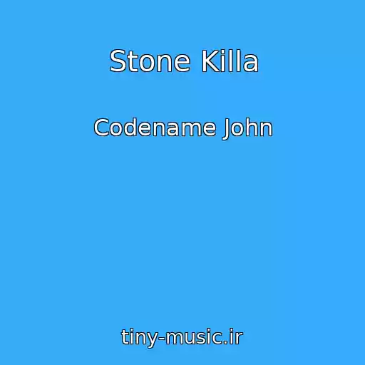کاور آهنگ Stone Killa از Codename John