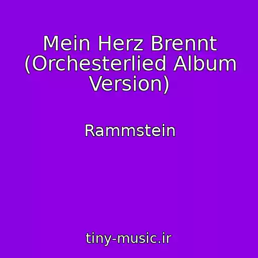 کاور آهنگ Mein Herz Brennt (Orchesterlied Album Version) از Rammstein
