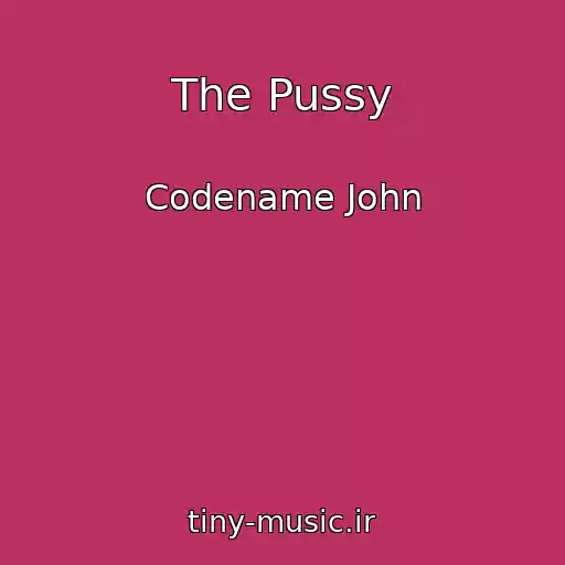 کاور آهنگ The Pussy از Codename John