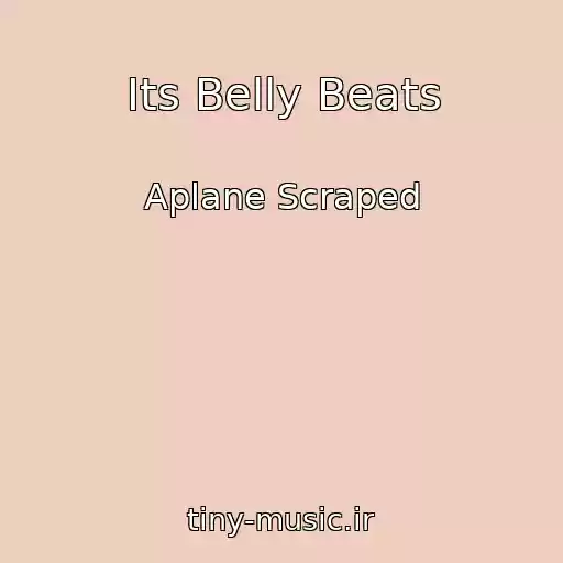 کاور آهنگ Its Belly Beats از Aplane Scraped