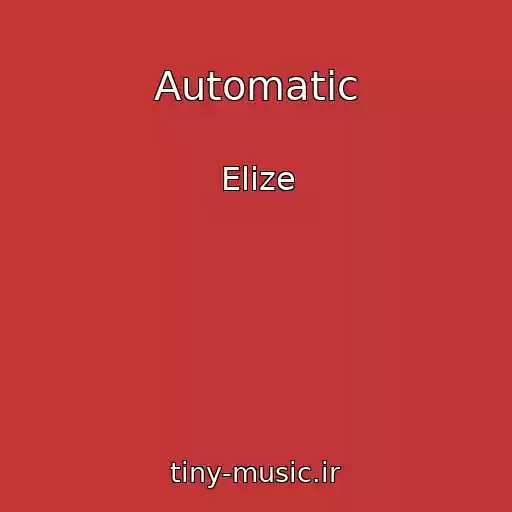 کاور آهنگ Automatic از Elize