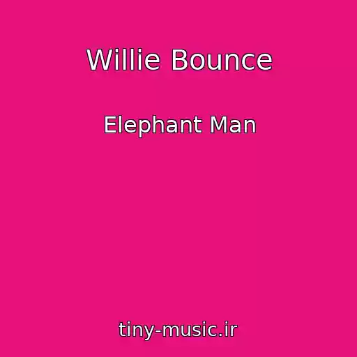 کاور آهنگ Willie Bounce از Elephant Man