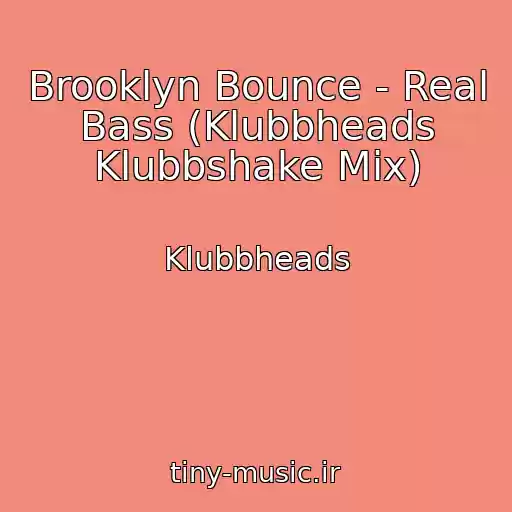 کاور آهنگ Brooklyn Bounce - Real Bass (Klubbheads Klubbshake Mix) از Klubbheads