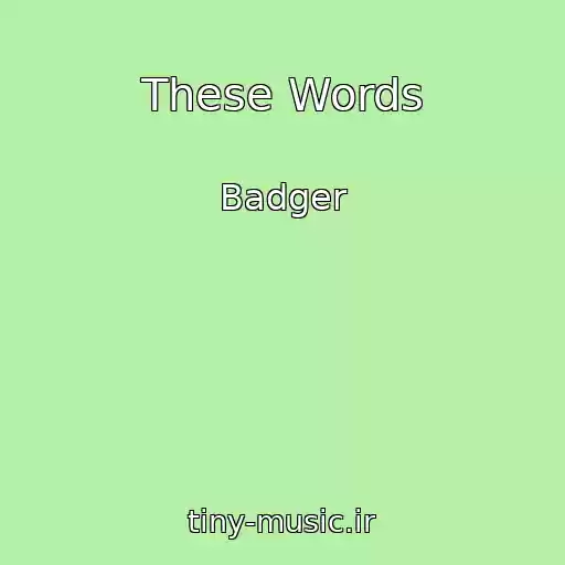 کاور آهنگ These Words از Badger