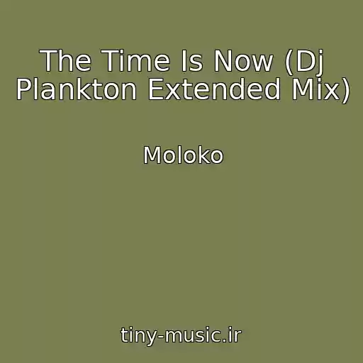 کاور آهنگ The Time Is Now (Dj Plankton Extended Mix) از Moloko
